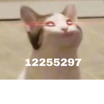 Pop cat world