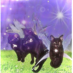 rotfairies!