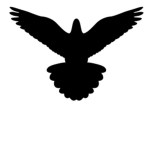 Aerial Combat Unit [ZTO]