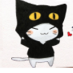 for those who like cats