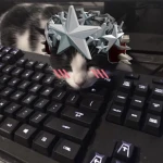 evil dungeon Group Thumbnail