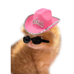 LotussX
