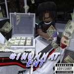 #1hunnat Ent