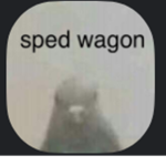 Sped wagon