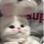 ʚ y2kpip0 ɞ
