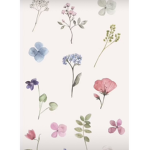 Sophie’s aesthetic