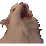 +*UNICORN POWER*+