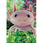 Axolotl Studios+Airline und Kaserne
