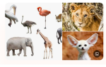 Saving people and animals