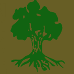 1st Golani Infantry Brigade 1970's