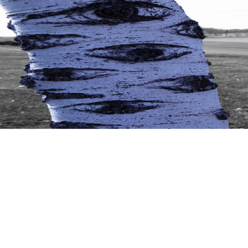 Tower of Fiendish Whispers (Floors 1 - 6)