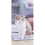 Magical adopt me fan club PETS