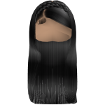 Cute Straight Hair w Braided Crown (Black)
