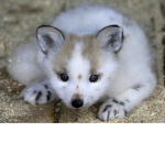 <3 Kawaii Ae th e ti cs <3