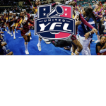 YFL (youth football (league)