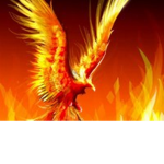 Flame and frost