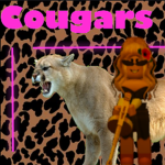 Cougars of Chicago