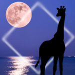 Giraffe under the Moon