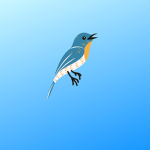 Birdy High School