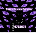 Team Ducks forever