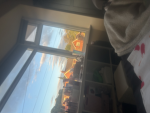 SunflowersBella