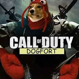 Doge Vs Cats broke