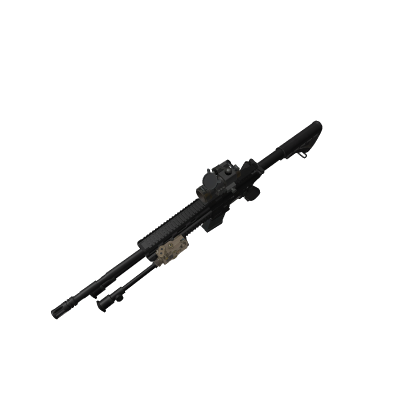 (ACS 2.0.1) Custom HK417