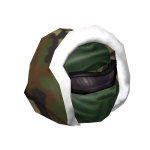 Camouflage Assassin