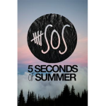 5 Seconds Of Summer Fam
