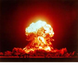 Our plans to nuke doge haters