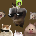 CHIPI CHIPI GROUP