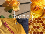 Honey Bunnnns