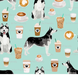 Husky Friends Cafe