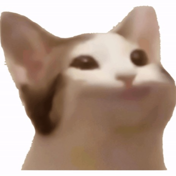 Miejsce twórcy emekq_multiacc