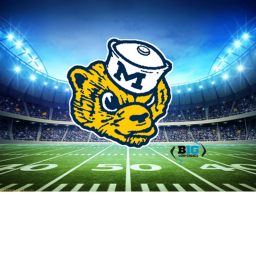 Michigan Wolverines Stadium