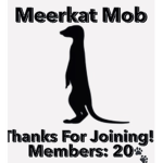 Meerkat Mob!