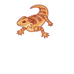 Lizard Lords