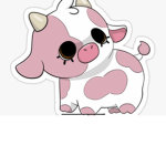 Only cows team