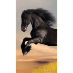 horse outlet