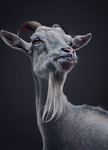 The Goaty Studios.