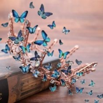 The BetterflyCrowns