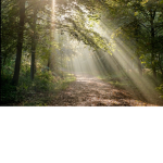 ~BeautifulSunBeams~