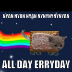 Nya cat squad