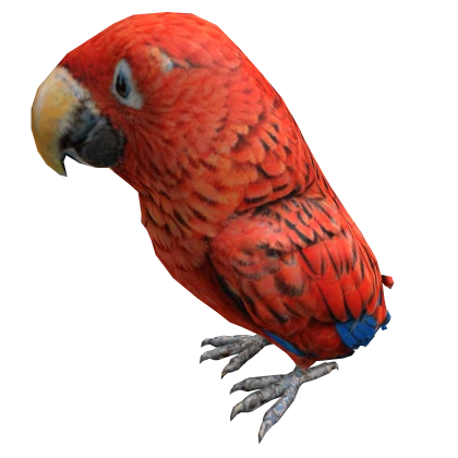 Red Parrot Left Shoulder Pet | Roblox Item - Rolimon's