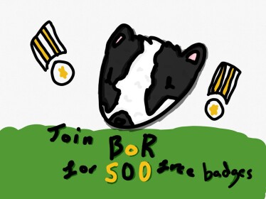 500 Group Badges
