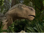 The Dinosaur's