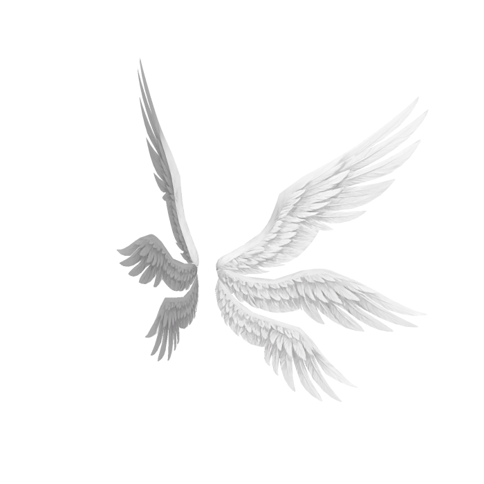 White Fallen Angel Wings