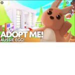 Noor_playz