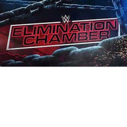 WWE ELIMINATION CHAMBER