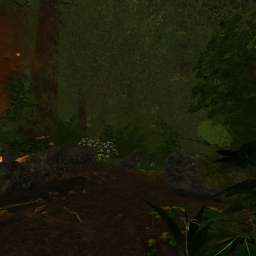 The Woods 2